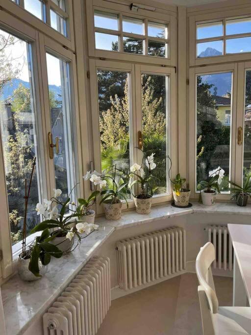Laurelia Suites ميرانو المظهر الخارجي الصورة